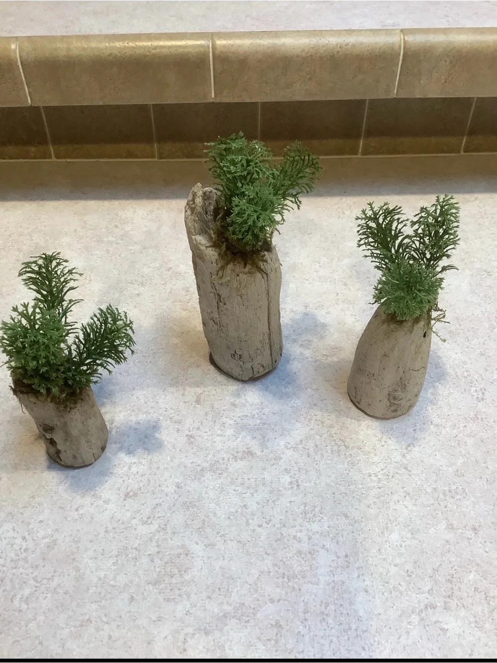 Driftwood Art, Driftwood Faux Plants , Driftwood Faux Greenery Coastal Art